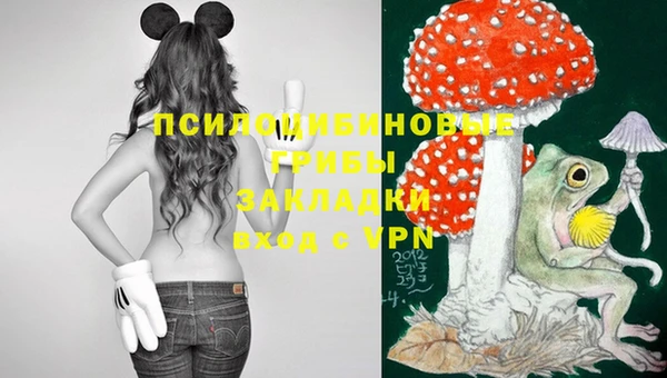 2c-b Майский